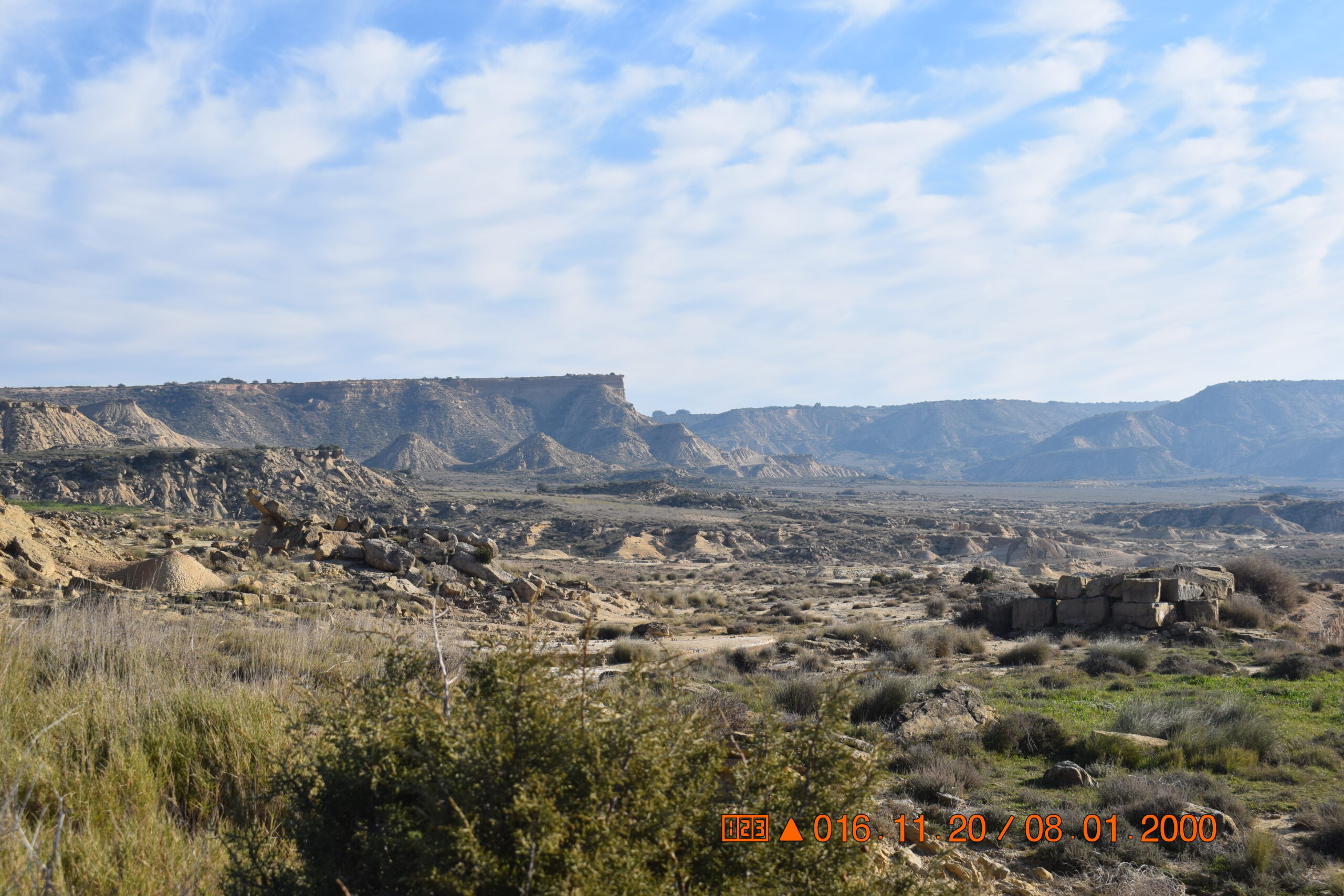 La fauna y flora de las Bardenas